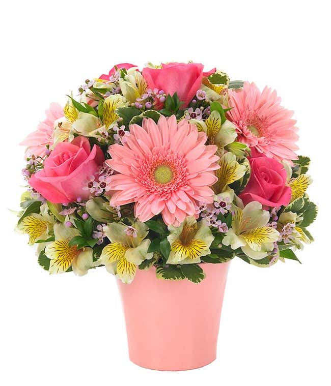 Pink gerbera daisies arranged with pink roses