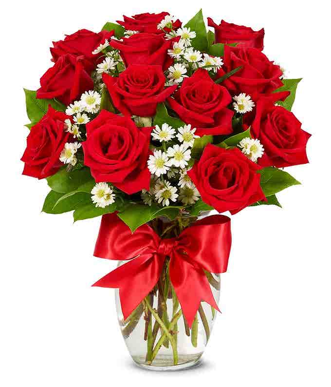 Luxury One Dozen Red Roses