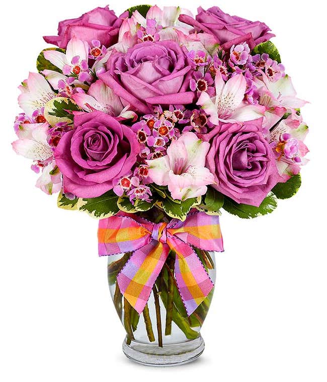 Lavender Roses with Pink Alstroemeria delivered
