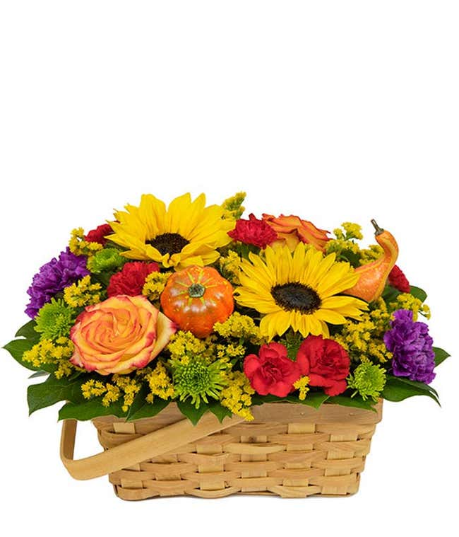 Sunflowers, pumpkin decorations and orange roses delivered in a basket