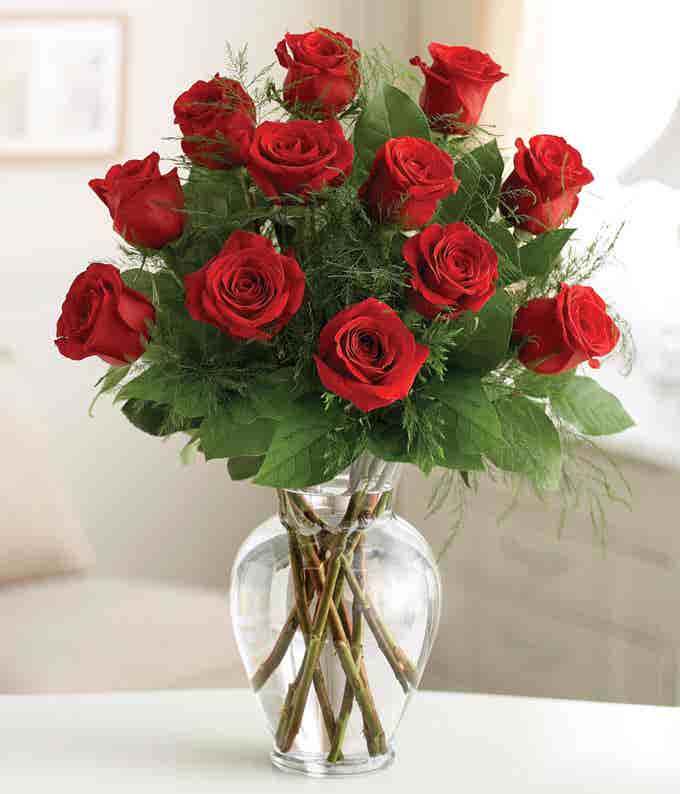 Premium Dozen Roses - Red