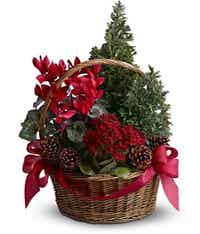 Christmas Gift Basket of Red Flowers, Green, and Pine Cones