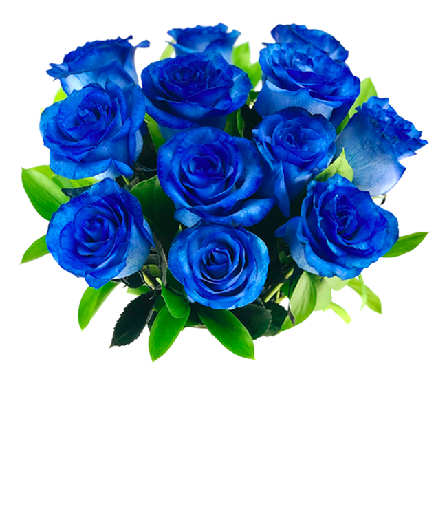 One Dozen Blue Jewel Roses