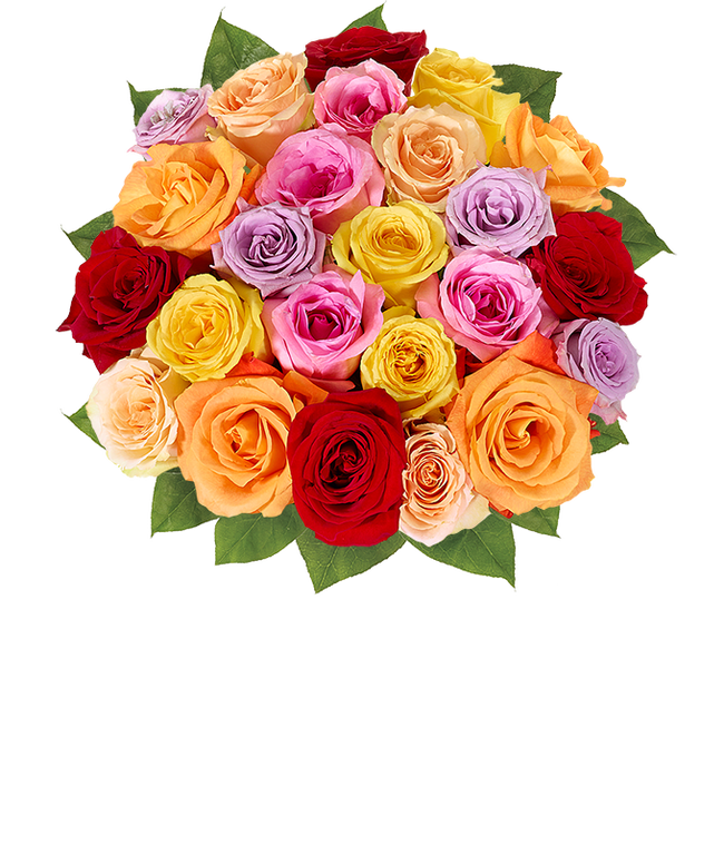 Two dozen rainbow roses for Mother's Day rose delivery