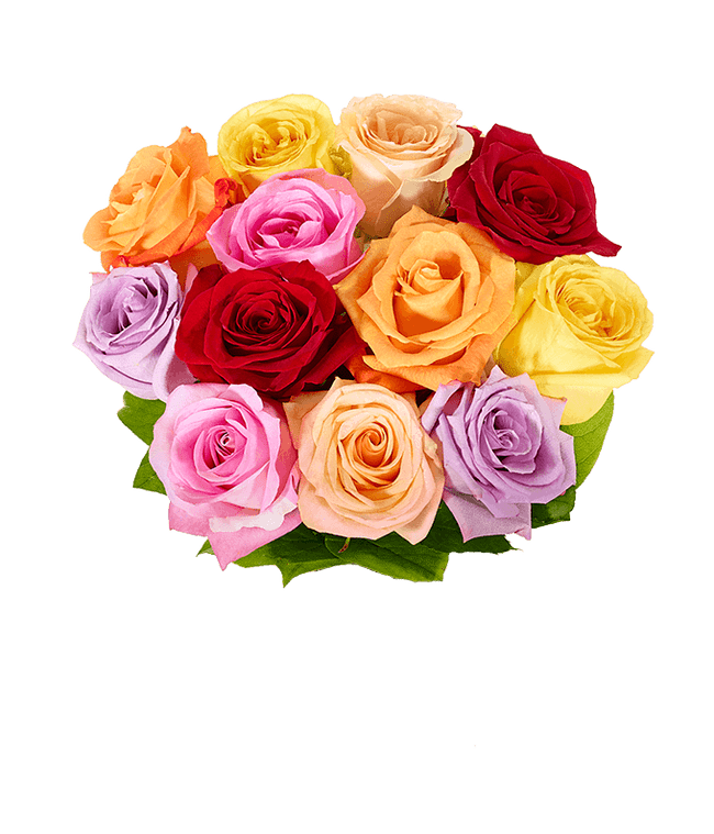 One Dozen Love is Love Rainbow Roses