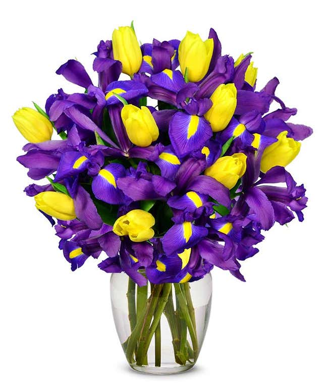 Blue iris flowers arranged with yellow tulips for gift delivery