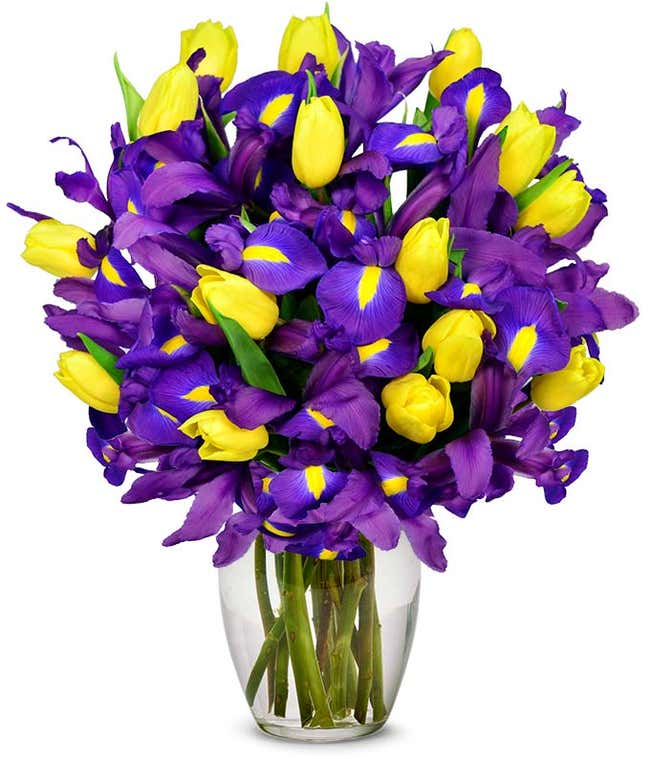 Yellow tulips delivered with blue irises