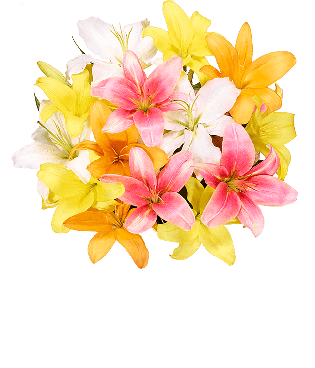 Lilies for Mother's Day