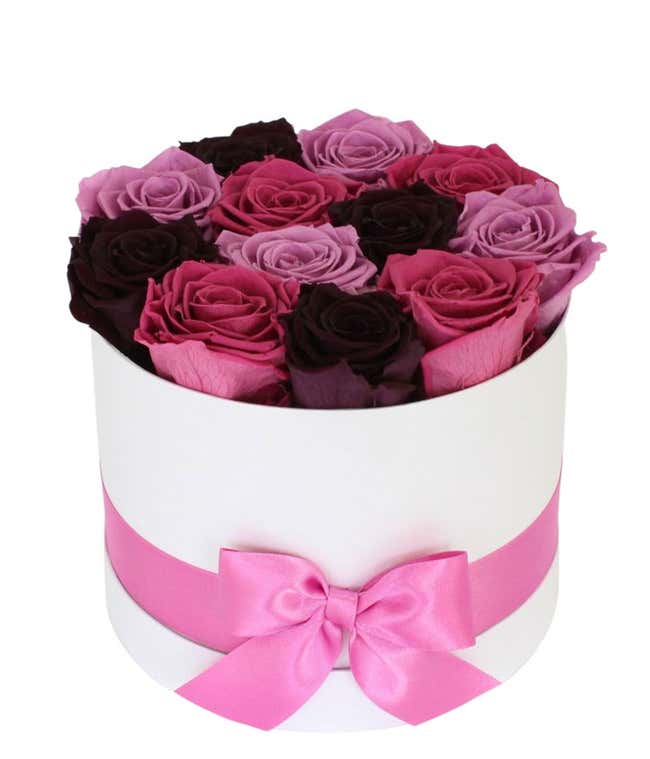 Luxury Dozen Preserved Purple Rainbow Roses