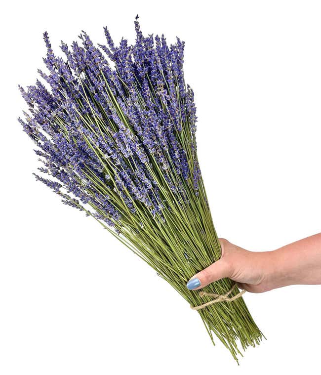 Lavender Fields Bouquet - Premium