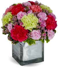 Mixed carnations in a square vase