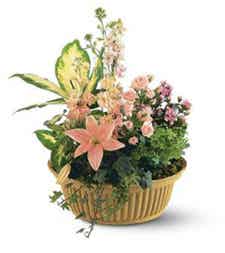 Basket with pink lilies and mini pink flowers