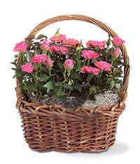 Basket of pink floral stems